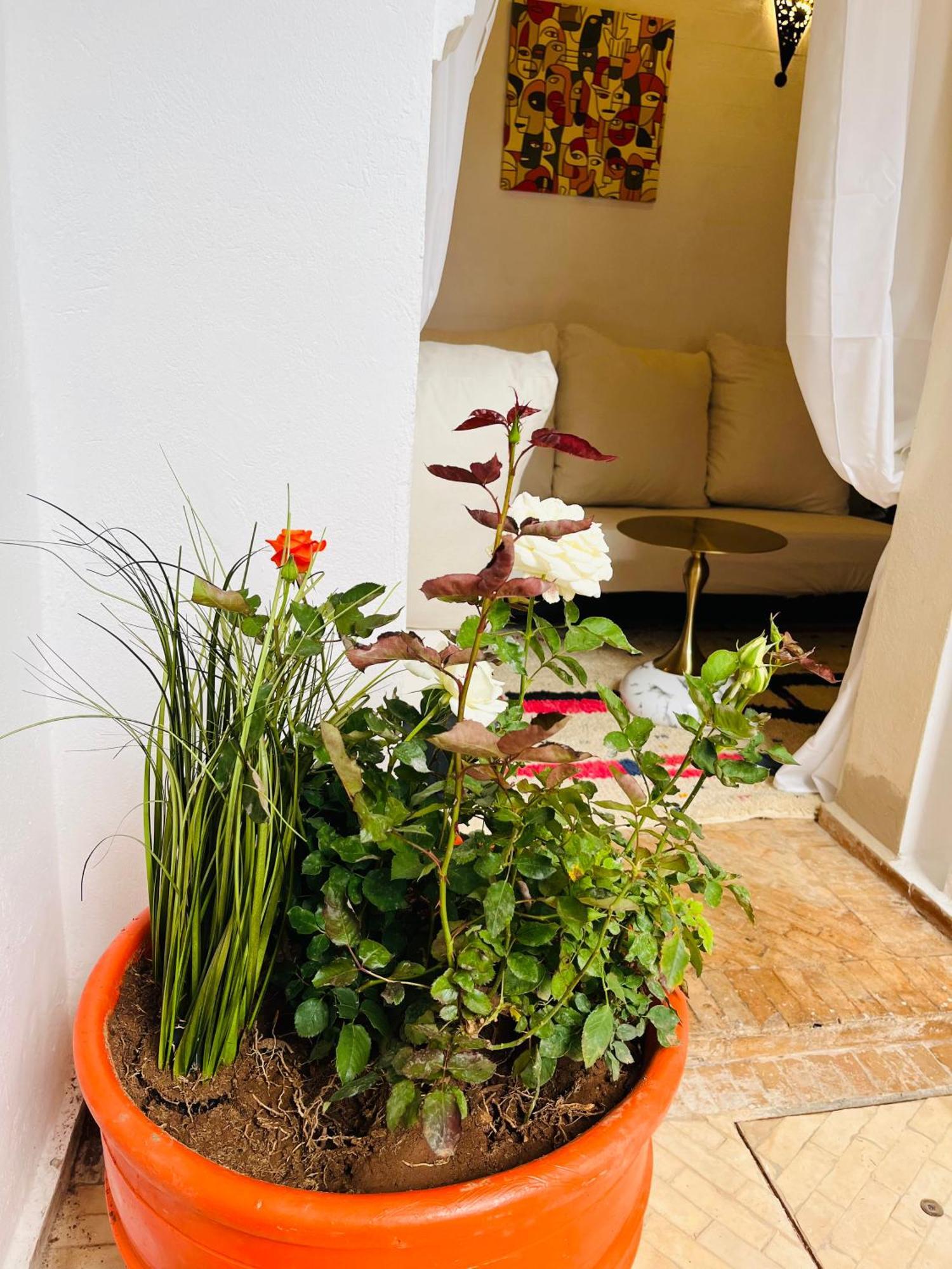 Riad Darna 4 Chambres Avec Piscine Et Petit Dejeuner Marrákes Kültér fotó